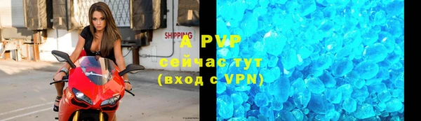крисы Богданович