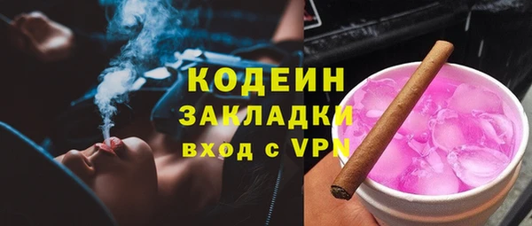 крисы Богородицк