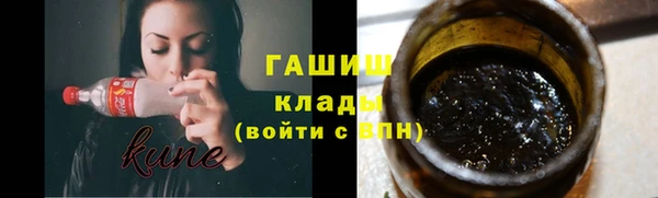 крисы Богородицк