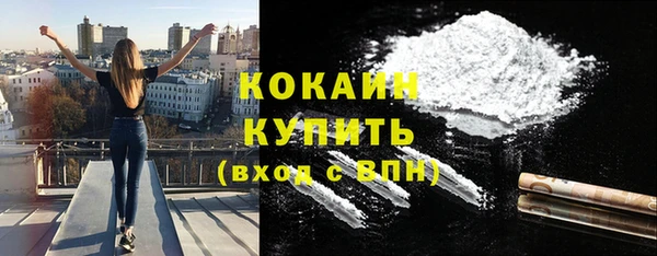 крисы Богородицк