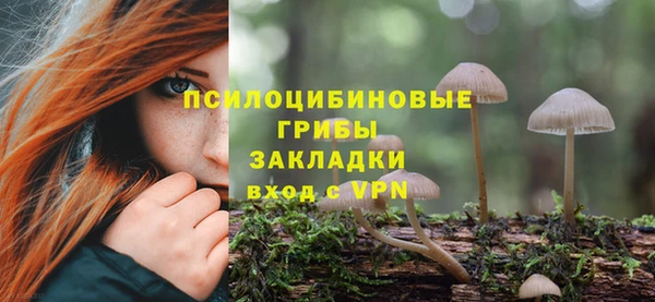 гашиш Богородск