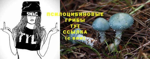 каннабис Белокуриха